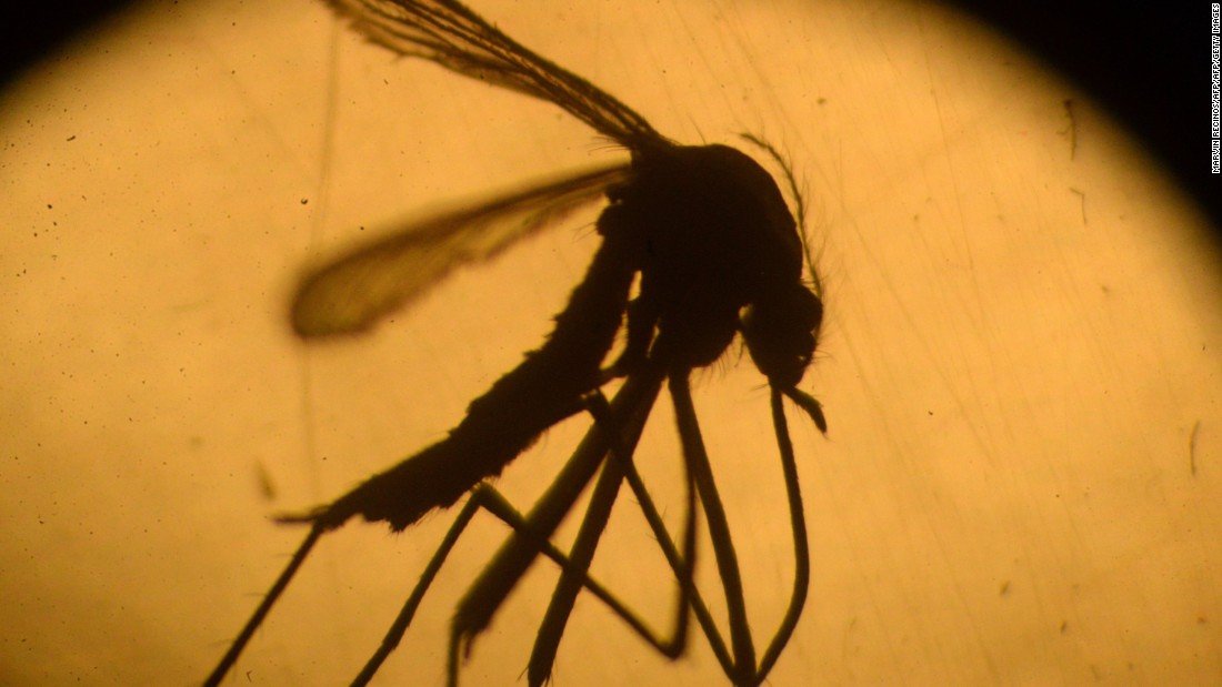 CNN's tweet photo. Researchers used a gene editing tool to wipe out a population of malaria-carrying mosquitoes in a lab, raising the possibility of eradicating disease-carrying species of the insect entirely. But is it a good idea? https://t.co/57j59JMY0A https://t.co/gjWcKrJSyn
