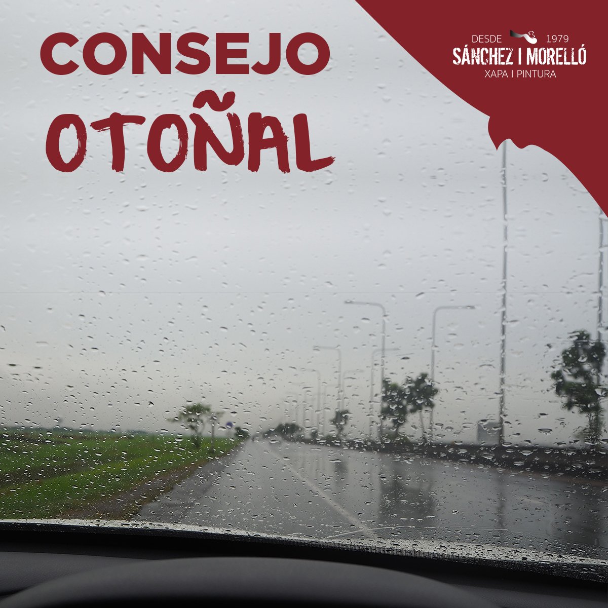 SancheziMorello's tweet photo. No dejes que las tormentas de otoño te pillen desprevenido y comprueba el estado de las escobillas por si necesitan ser sustituidas.

🔴 Recuerda que si cambias con nosotros el aceite y los filtros te las llevas gratis 😊

#tallerdenia #chapaypintura https://t.co/DQsnIvUNQT