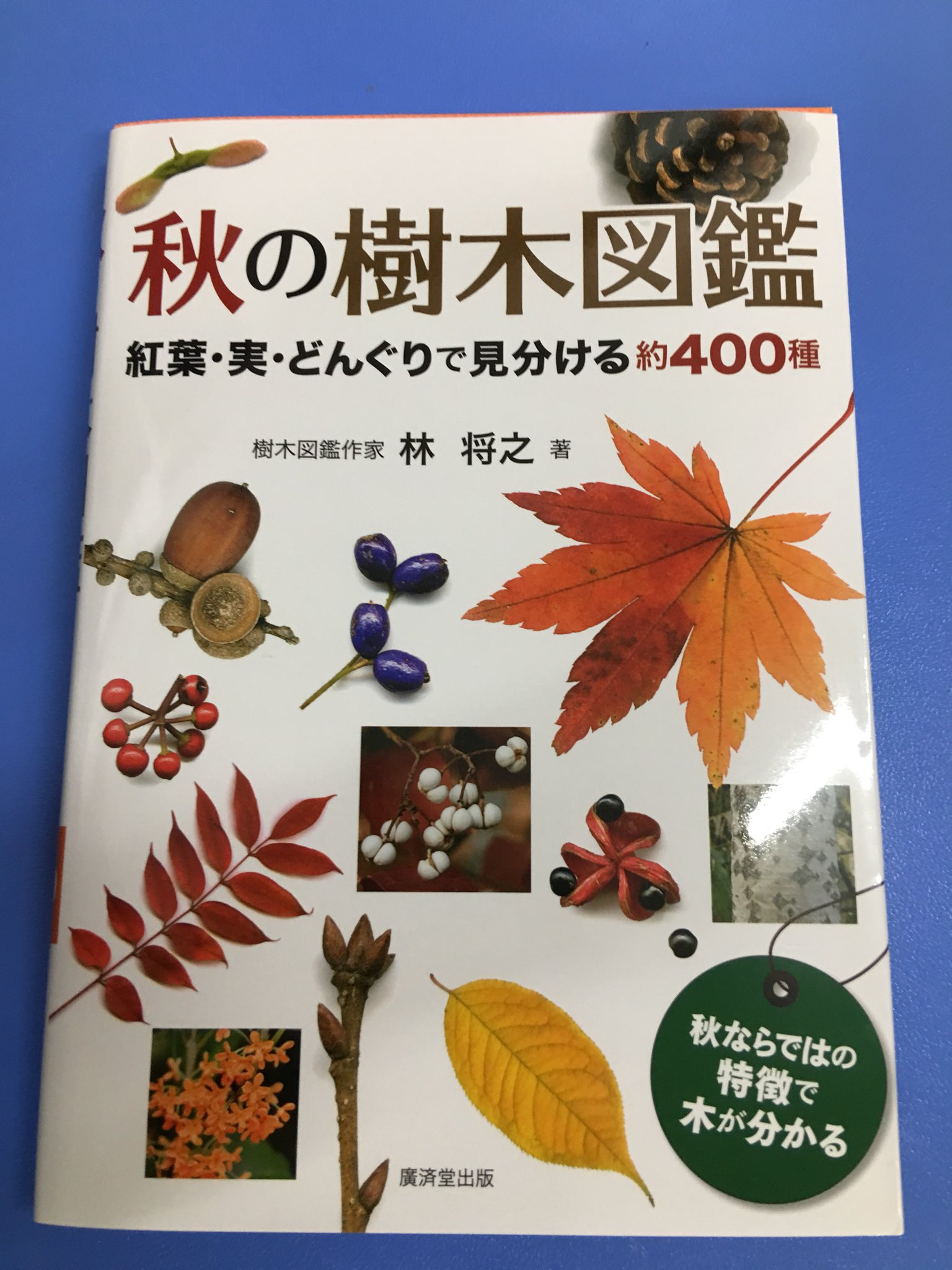 تويتر アマノ書店三方原店 على تويتر 秋の樹木図鑑 紅葉 実 どんぐりで見分ける約400種 樹木図鑑作家 林 将之 著 廣済堂出版 落葉樹も常緑樹も秋の見どころを満載した樹木図鑑です 秋の山を散策 T Co G3adzkmkqb