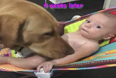 Animal Zoo Show (@AnimalZooShow) | Twitter