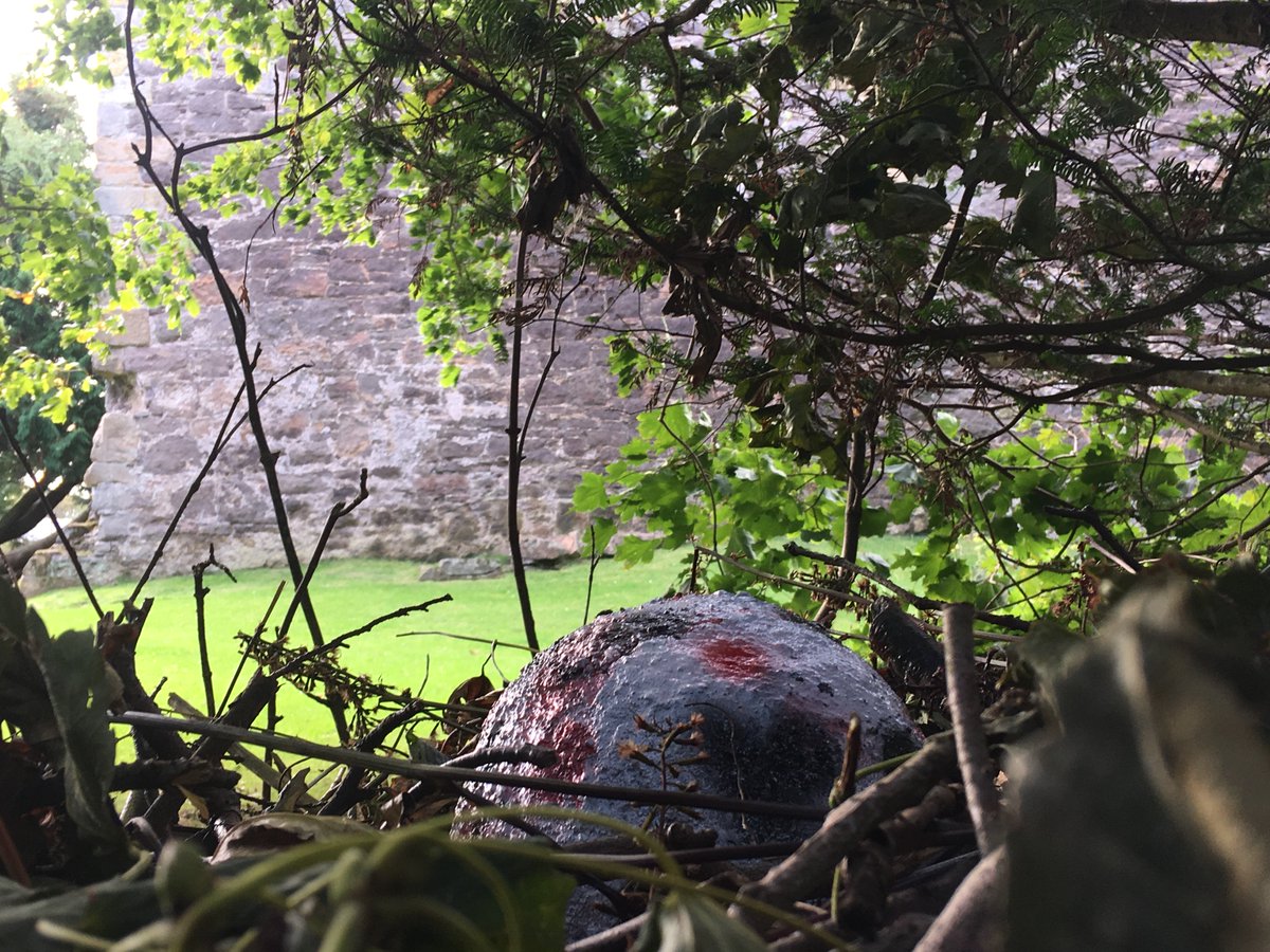 andrewsp2009's tweet photo. On Dragon watch this morning as we discovered a Dragon nest last night. Just in time for @CockenziePS  visit. #Dragons @LothianLoop @MissRMillar https://t.co/PvFWF9xF8I