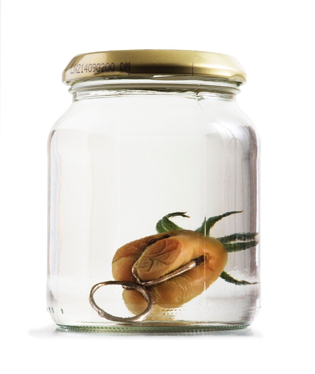cecholt's tweet photo. Smykker er ikke bare duskeøredobber, folkens! Om noen lever under den livsløgnen, altså. https://t.co/aSKI8l9X2x https://t.co/XFQzMrBrVJ