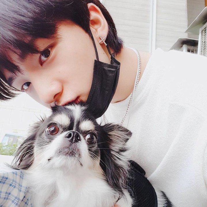 skzmalkokayo's tweet photo. Stray Kids IG Update with Hyunjin (THREAD) 

[CAPTION] 
추석때 가족들과 속초 바다여행 &amp; 물회ㅋㅋㅋㅋ
소원 성취했당😊😊
#straykids #9 #속초 #휴가끝 #ㅠㅠ #STAY #잘지냈죠?♥
아 그리고 청바지는 역시 #잠뱅이
--
How to be a dog? 😃 @Stray_Kids https://t.co/byhE5TSU9N