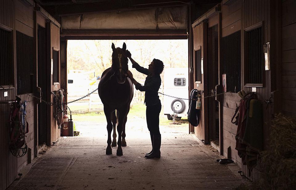 An experienced and reliable groom is sought for a part time position near Oakham. You must be able to handle large horses competently and take sole charge when the owner is away. Thurs &amp; Fri 8-1pm &amp; Friday evening Good rate of pay and working conditions premierequestrianrecruitment.com/job/part-time-…