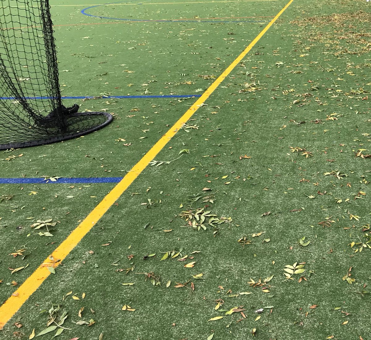 Technical Surfaces Ltd tweet media