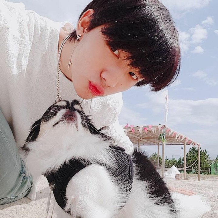 skzmalkokayo's tweet photo. Jgh and I saw these ♡ @Stray_Kids https://t.co/4TYY52yuDs