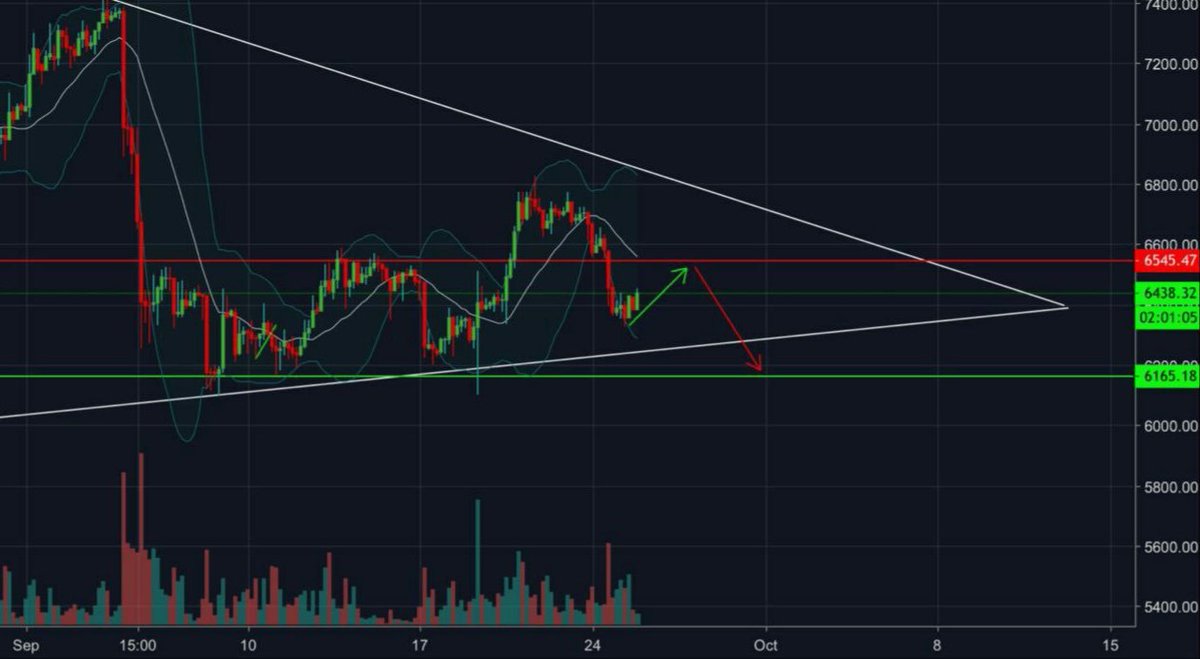 gala gallardo (@galagallardo2) / Posts / X