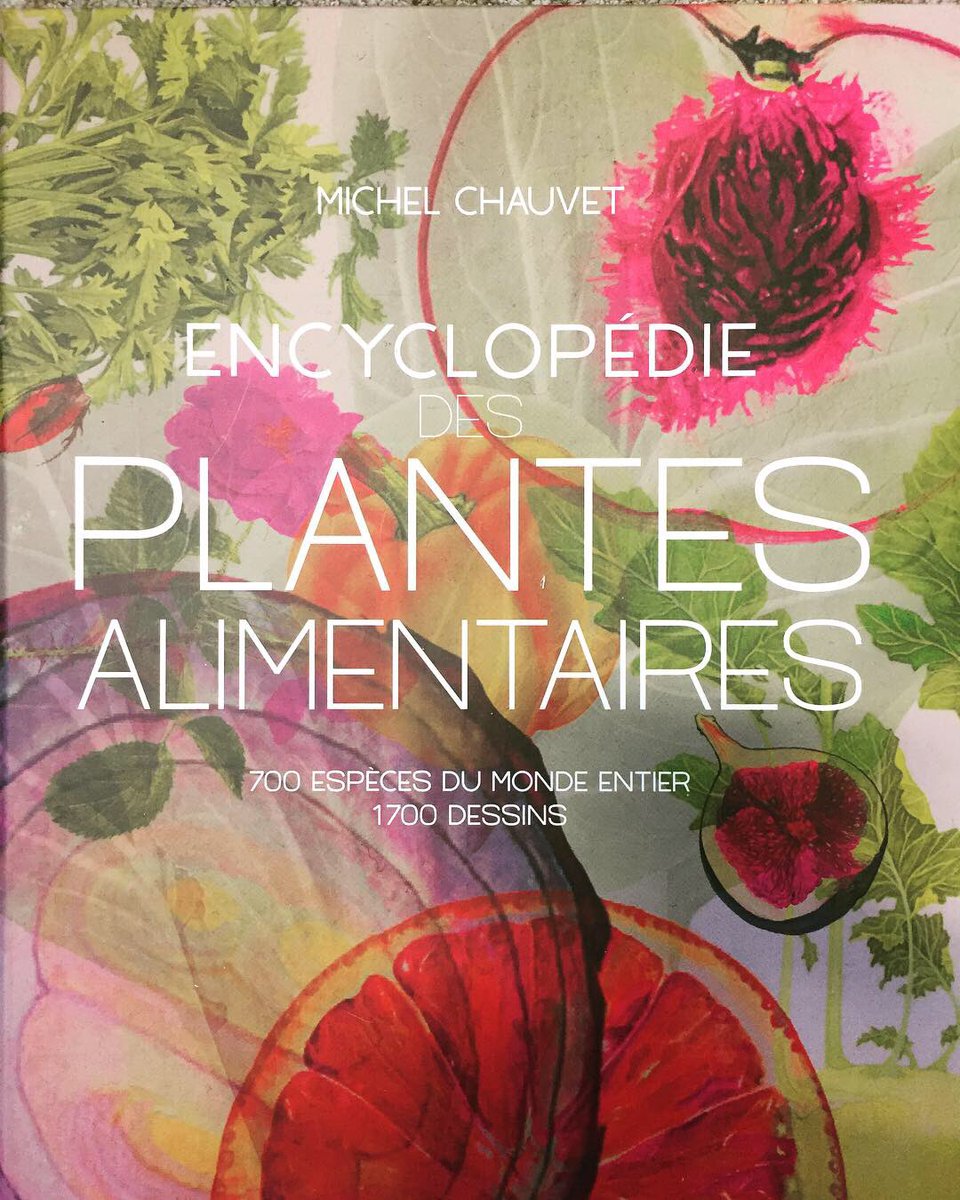 Belin_editeur's tweet photo. #mercredisortie À découvrir dès aujourd’hui en librairie ! « Encyclopédie des plantes alimentaires » par Michel Chauvet. Un ouvrage qui vous fera découvrir ce qui arrive véritablement dans votre assiette ! #encyclopedia #book #vegetables #plantes #alimentation 🍏🍎🍐🍊🍋🍌🍉🍇🍓 https://t.co/QWJUkhlYGR