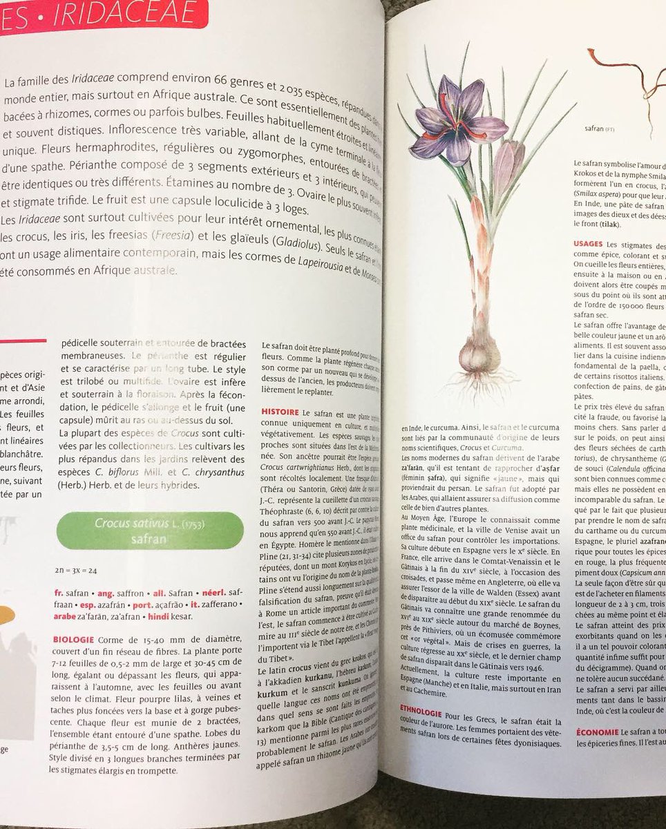 Belin_editeur's tweet photo. #mercredisortie À découvrir dès aujourd’hui en librairie ! « Encyclopédie des plantes alimentaires » par Michel Chauvet. Un ouvrage qui vous fera découvrir ce qui arrive véritablement dans votre assiette ! #encyclopedia #book #vegetables #plantes #alimentation 🍏🍎🍐🍊🍋🍌🍉🍇🍓 https://t.co/QWJUkhlYGR