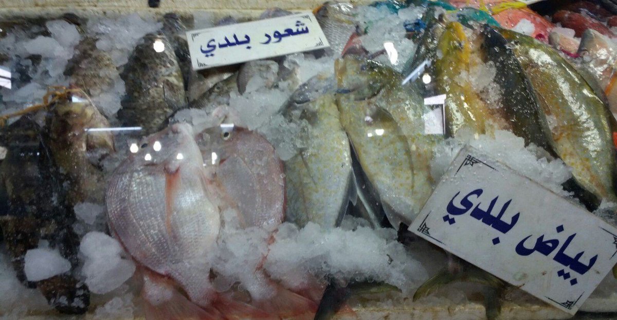 #أمانة_جدة تتلف 7629 كيلو أسماك فاسدة داخل السوق المركزي
bit.ly/2xHQWrf