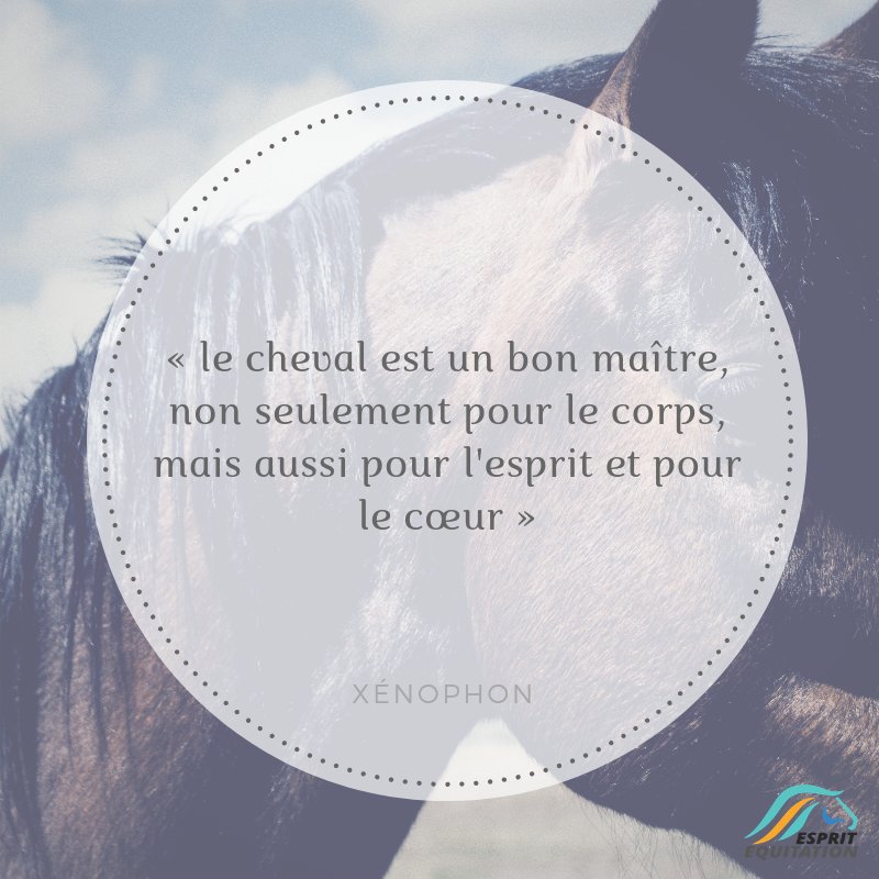 Esprit Equitation Mercredicitation Une Citation En Nous En Faire Aimer La Philosophie N Est Ce Pas T Co 2fyxltb28c Twitter