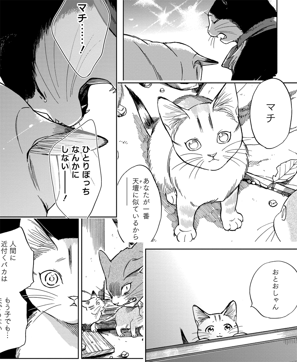 『ゴジュッセンチの一生』最新😸第8話😻 Pixivのほうでも前半が配信になりました😉pixivユーザーさん是非どうぞ〜! https://t.co/UDE4PlBMFN #pixivコミック #ゴジュッセンチの一生 