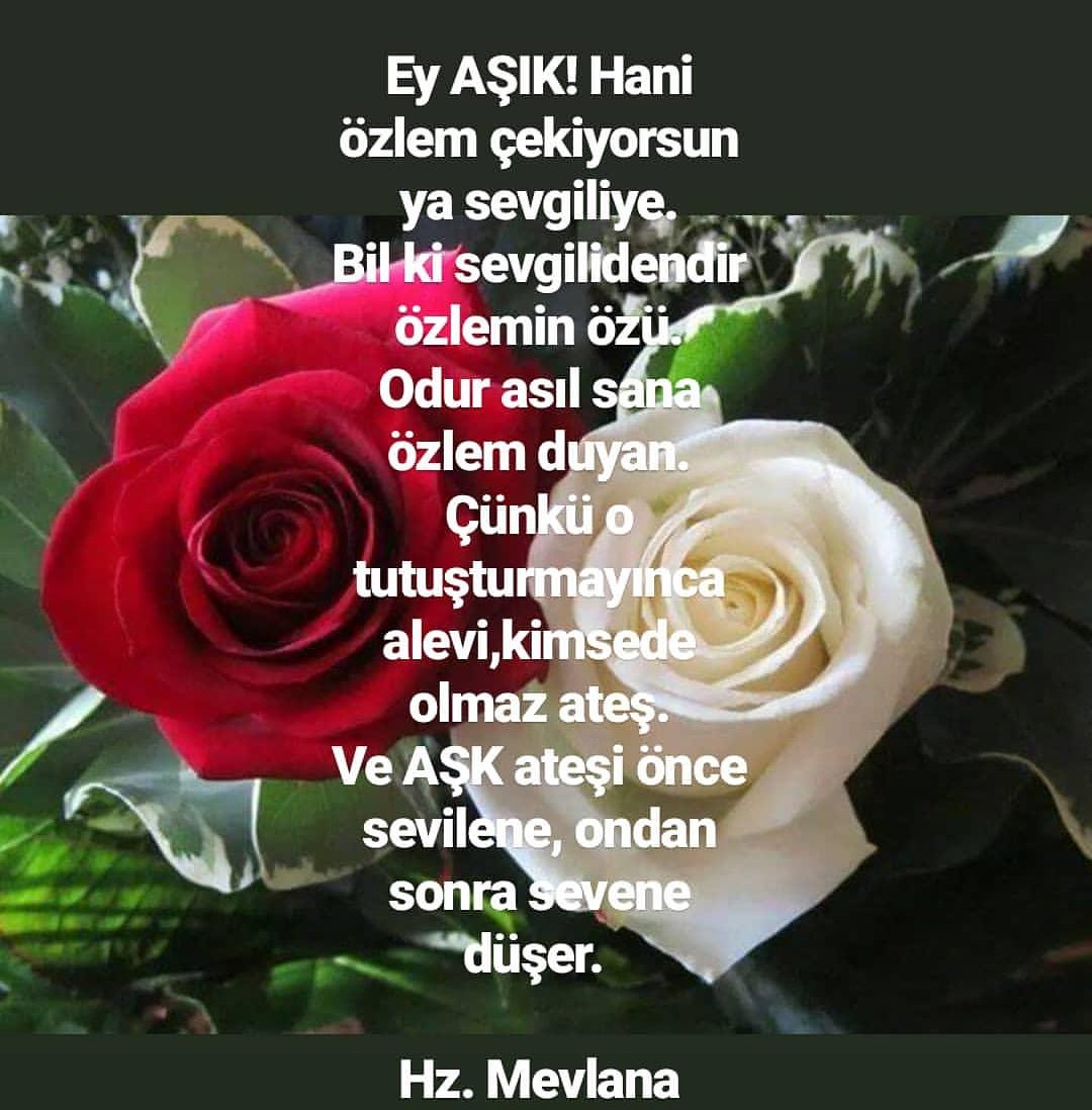 Zoya Kush bilan porno