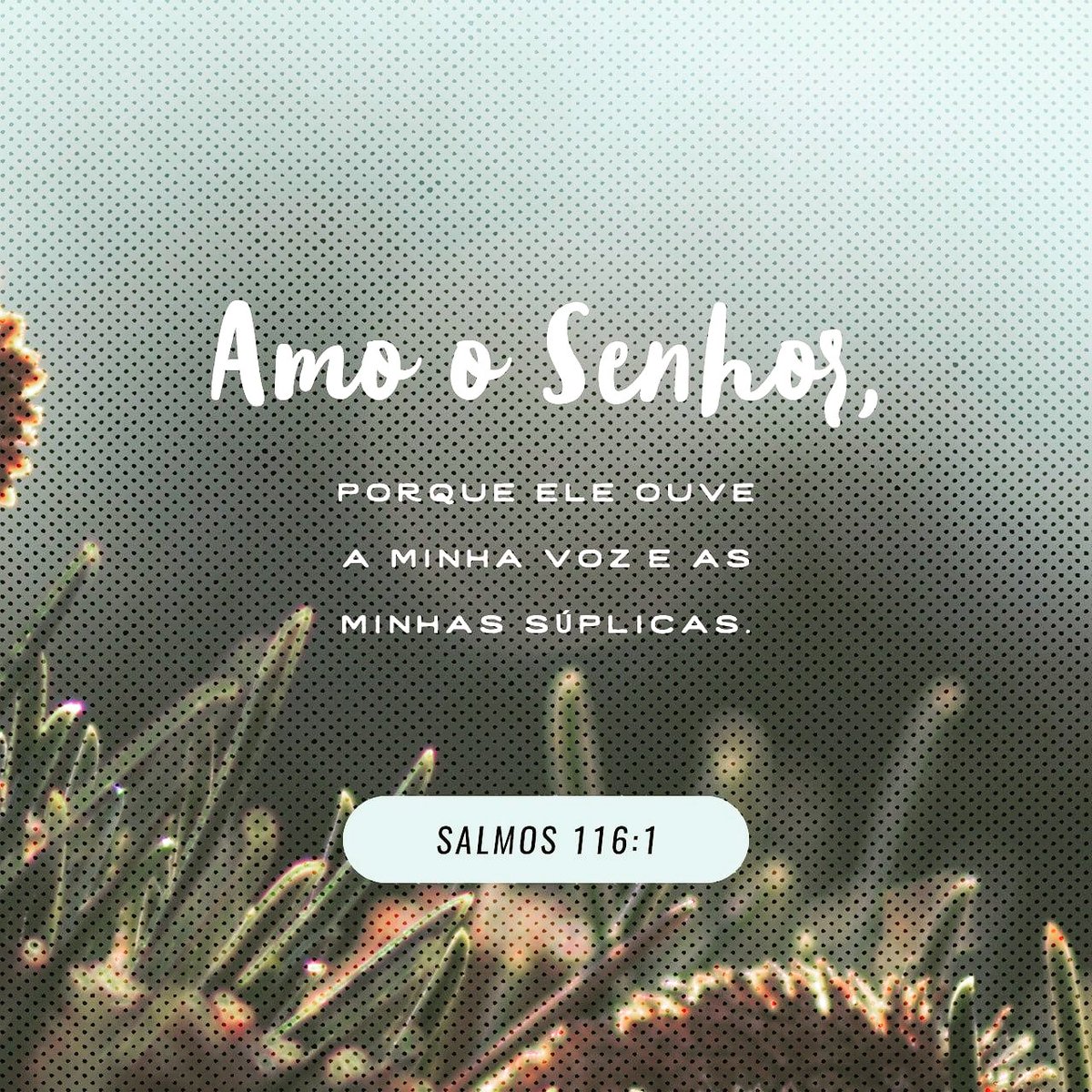 alecarloslima's tweet photo. Amo o Senhor , porque ele ouve a minha voz e as minhas súplicas.
Salmos 116:1 ARA
...
#obpcrp #obpc #igreja #biblia #devocional https://t.co/G5897oZWs3