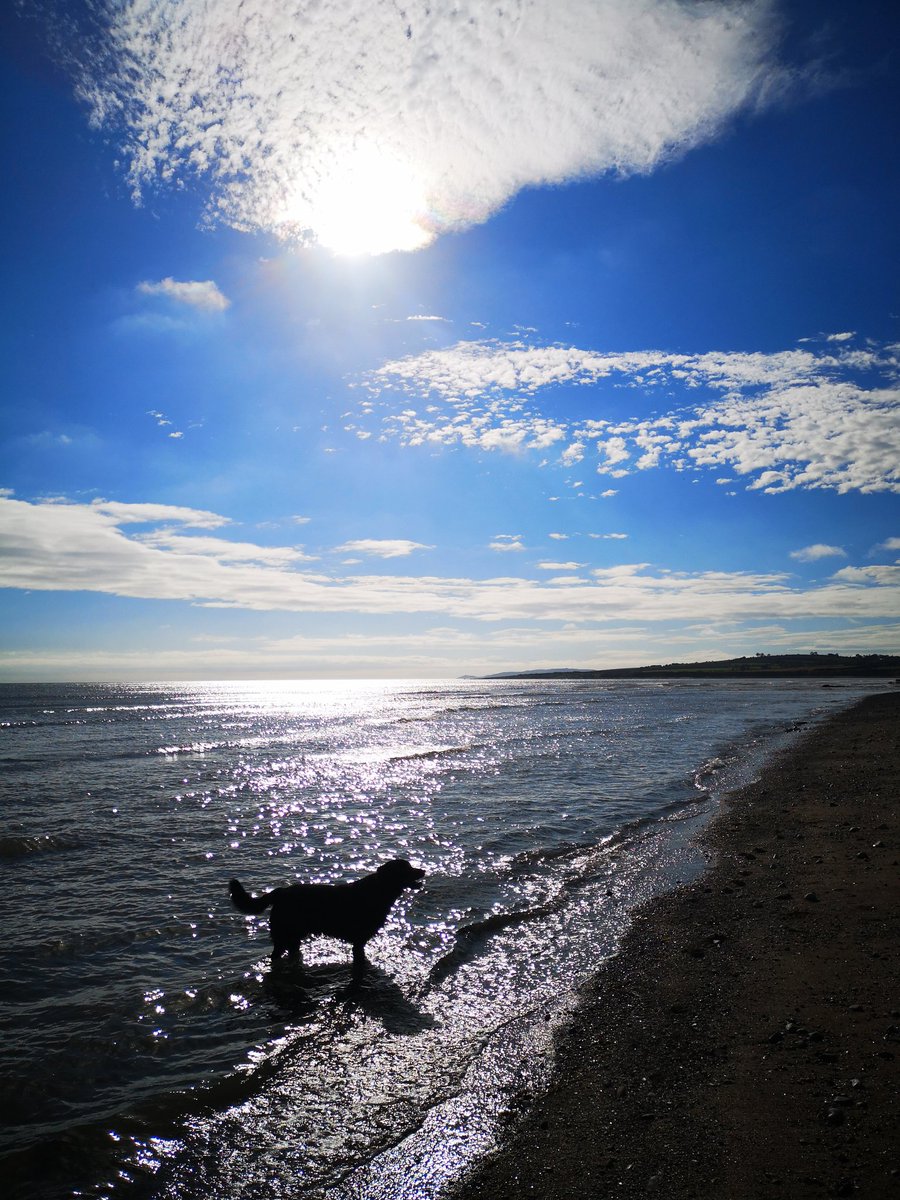 sarahmayrogers7's tweet photo. We have the best little country when the sun is out. Have a good day, always appreciate the little things โค๏ธโ๏ธ๐ #nature #beautifulireland #outdoorliving #healthandfitness #skerries #walking #nicedaytoday #irishweather #happiness #gratitude #makehaywhilethesunshines #beactive https://t.co/8kYO0qKE2W
