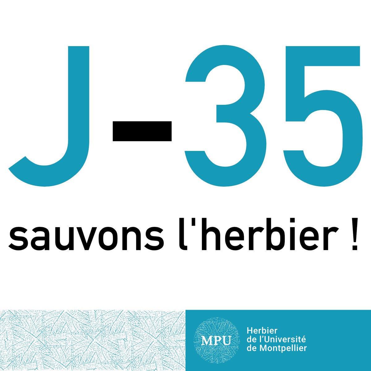 Appel à tous les amoureux de la #nature et #culture, il reste 35 jours pour sauver l'#herbier de #Montpellier ! #patrimoine #botanique 🍃 1€ = 50 spécimens sauvegardés 🌿
➡️ sauvonslherbier.com