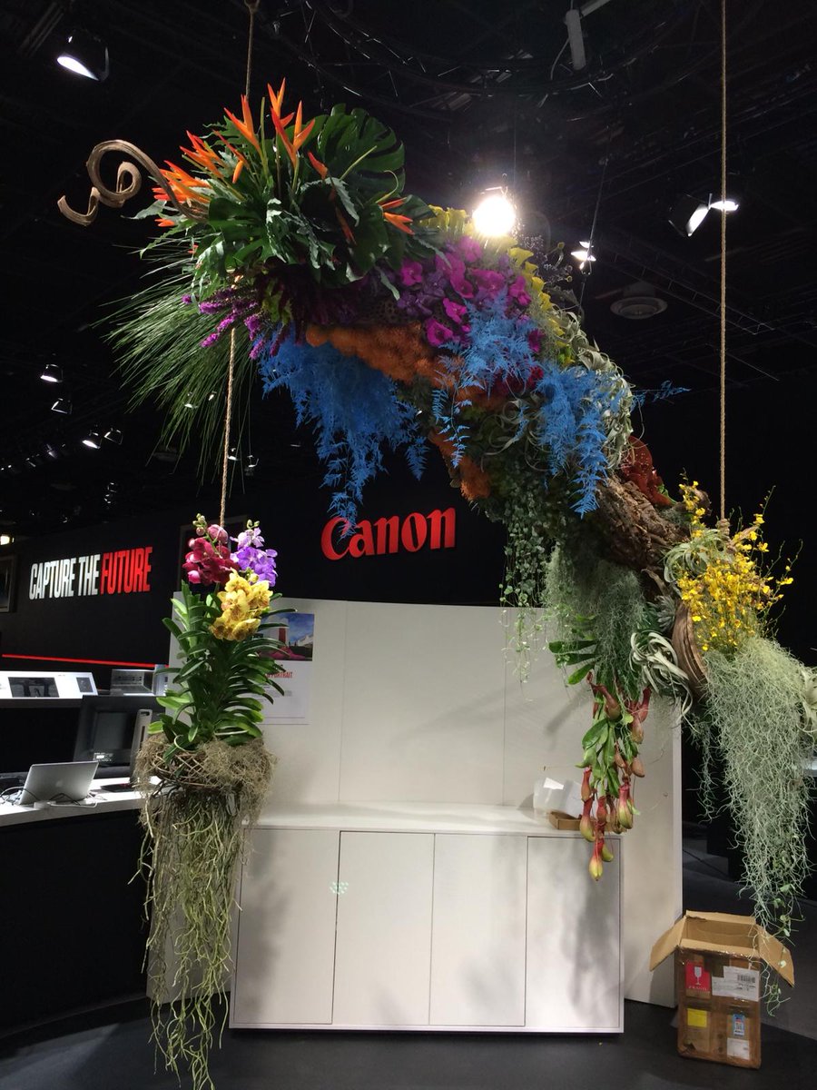 InWater_Flowers's tweet photo. Just a little snapshot of the amazing installation we built for @Canon with the brilliant @2LKDesign at #photokina2018
#flowerinstallation # movingflowerart #flowerart #londonfloristontour https://t.co/3iP1qBZa29