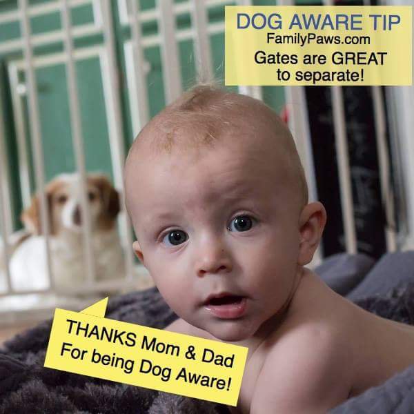 fourpawsupCLTNC's tweet image. Dogs and babies? Expecting a baby? Check out @familypawsofficial for more information and access to your local #licensededucator. 🐾 #dogtraining #cltmetro #pinevillenc #pregnancy #doulas
via ripl.com