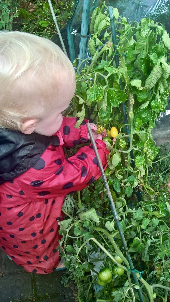 Karen Bell (kayjaybell) Twitter