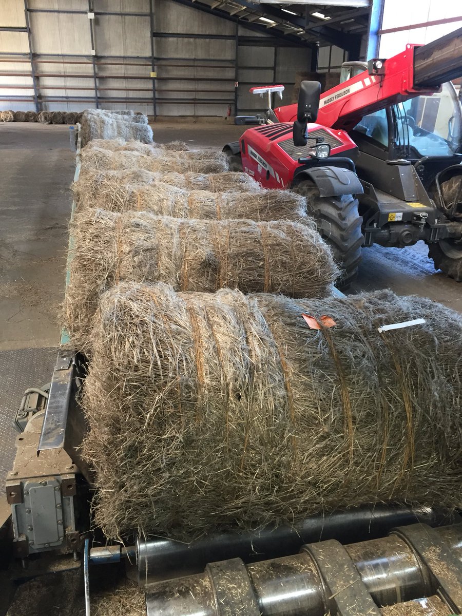 Teillage des essais biocontrole sur lin fibre et évaluation de l’impact sur la qualité