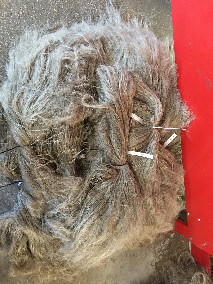 Benoit Normand tweet media