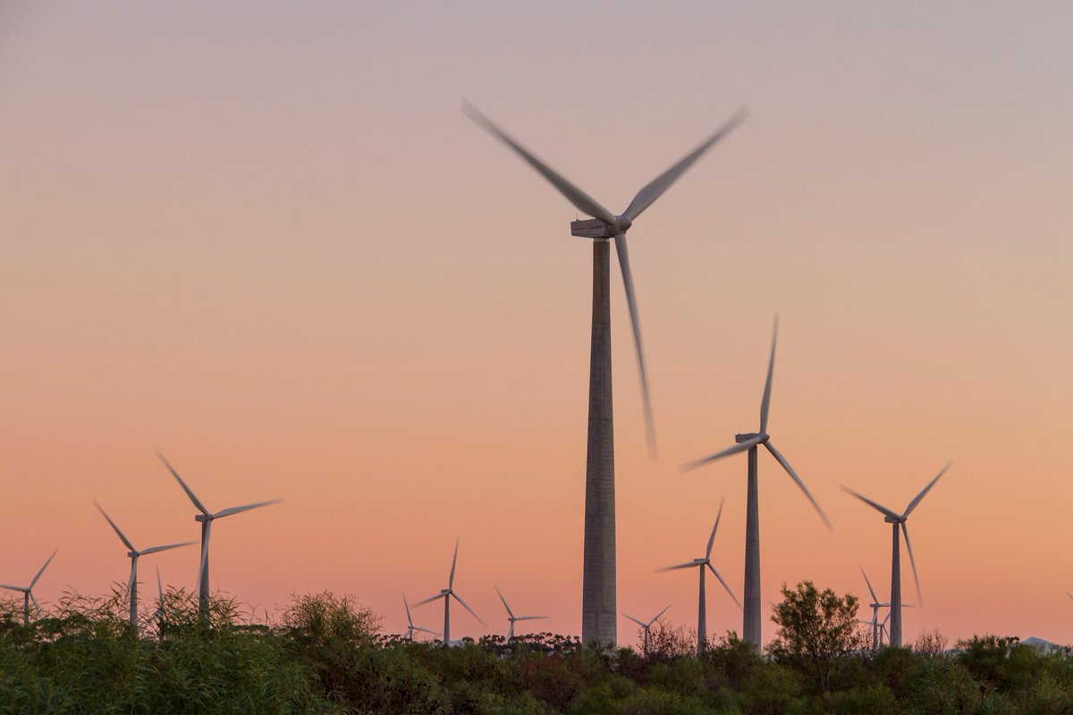 ACCIONA's tweet photo. ¡Somos líderes mundiales en reporte de sostenibilidad! 🌎🌱

El informe de @EcoAct_ES destaca que nuestra actividad haya evitado 14,4 millones de toneladas de CO2 en 2017 y que hayamos alcanzado la neutralidad de emisiones desde 2016 https://t.co/NkpVvyd6pJ https://t.co/KaP2CE9jKu