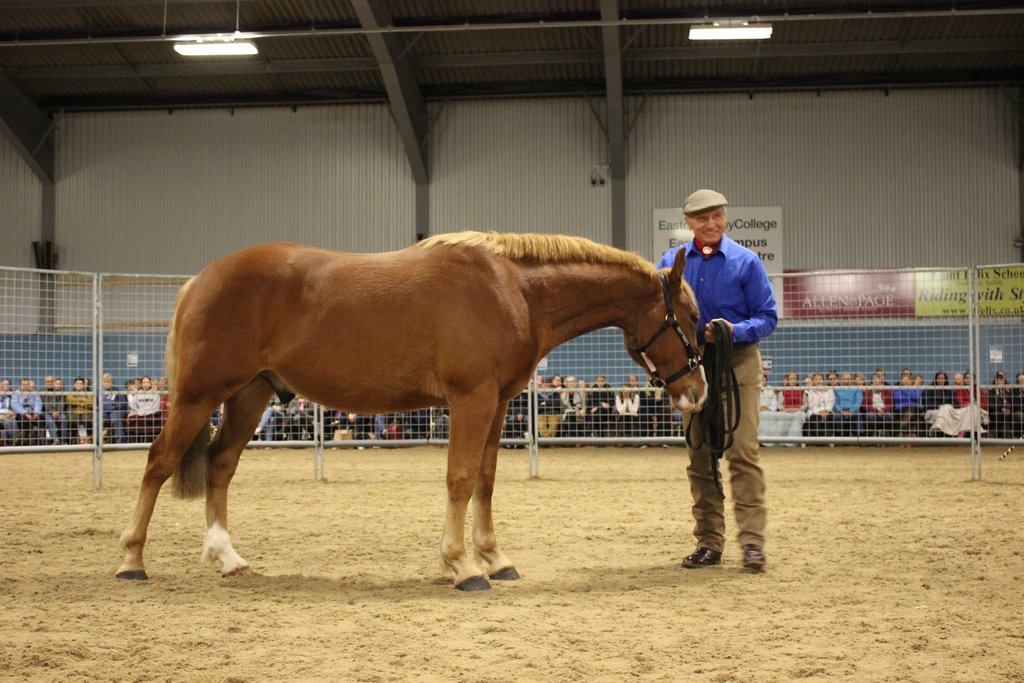 Monty Roberts tweet media