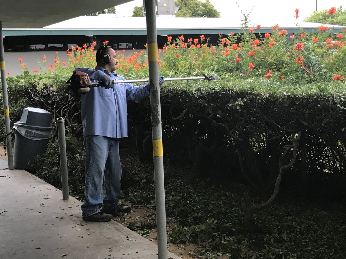 SC_NSD's tweet photo. Olivewood: Grounds Department working hard trimming, cleaning, &amp; mowing.#NSDnow https://t.co/JzoQdBMgU0