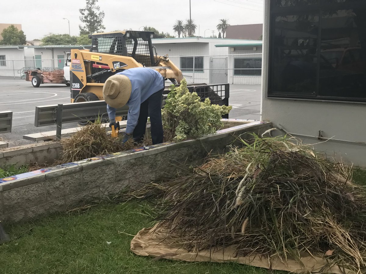 SC_NSD's tweet photo. Olivewood: Grounds Department working hard trimming, cleaning, &amp; mowing.#NSDnow https://t.co/JzoQdBMgU0