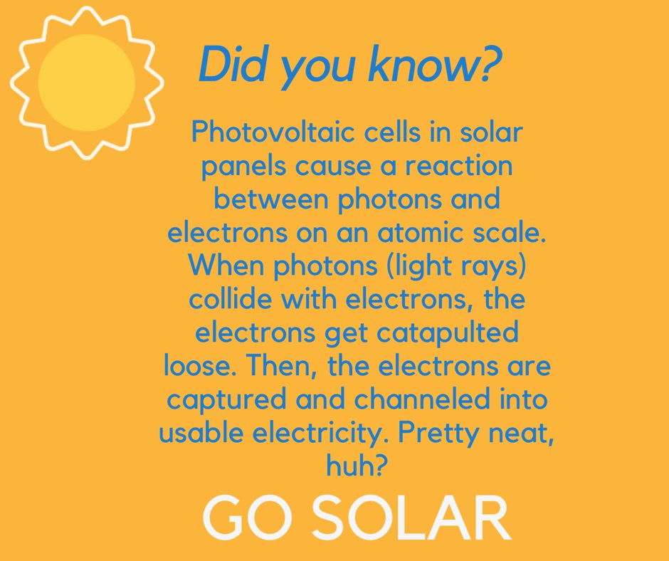 GosolarC's tweet photo. Solar is amazing 

#gosolar #solar #renewableenergy #sustainableliving #eco #ecofriendly #gogreen #sunpower #environment #solarenergy #sustainable #sustainability #solarpower https://t.co/gCvU3ijaVd