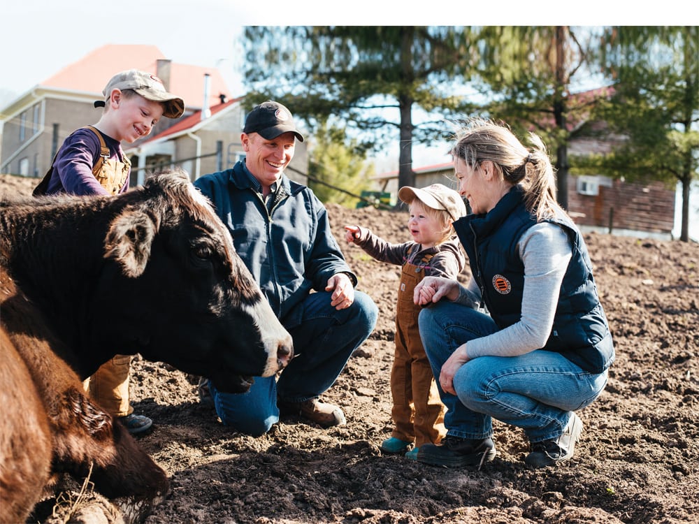 License to Farm tweet media