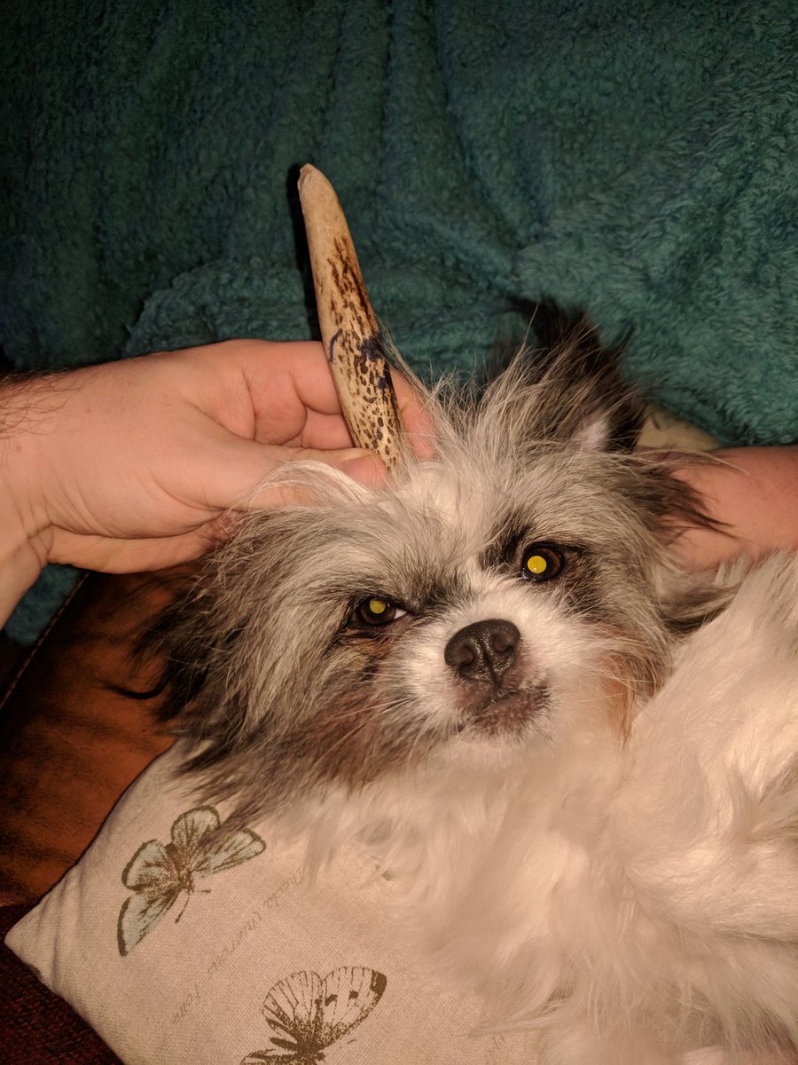 Rather Play Games tweet media