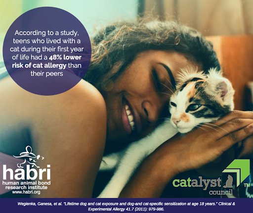 CatalystCouncil's tweet photo. Cats can enrich our lives in so many ways, including strengthening our immune systems. Learning a love for cats early on has been shown to reduce the risk of allergies and asthma later in life: https://t.co/rFTbQEIhkp #HappyCatMonth @HABRITweets https://t.co/R8KFxwQ8El