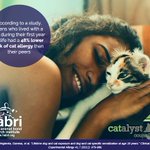 Photo by CATalyst Council (@CatalystCouncil)