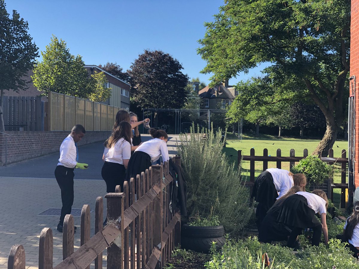 RPACatering's tweet photo. Kitchen garden club getting their hands dirty. #GreenFingers #growyourown @richmondparkac https://t.co/OkCFniGG0l