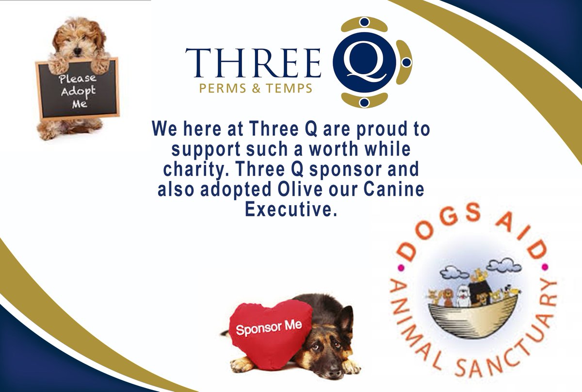 3QRecruitment's tweet photo. @ThreeQ we are #doglovers. On #TeamThreeQ we have our very own canine executive Olive ,
If you are looking to sponsor or adopt a dog check @dogsaid out on https://t.co/fOqtEZJPXL.
#TeamThreeQ #Dublin #WatchOutForOlivesTips #DogLovers #DogsAid #ForeverHomes #doggyfriends https://t.co/LZ1k1TxpB8