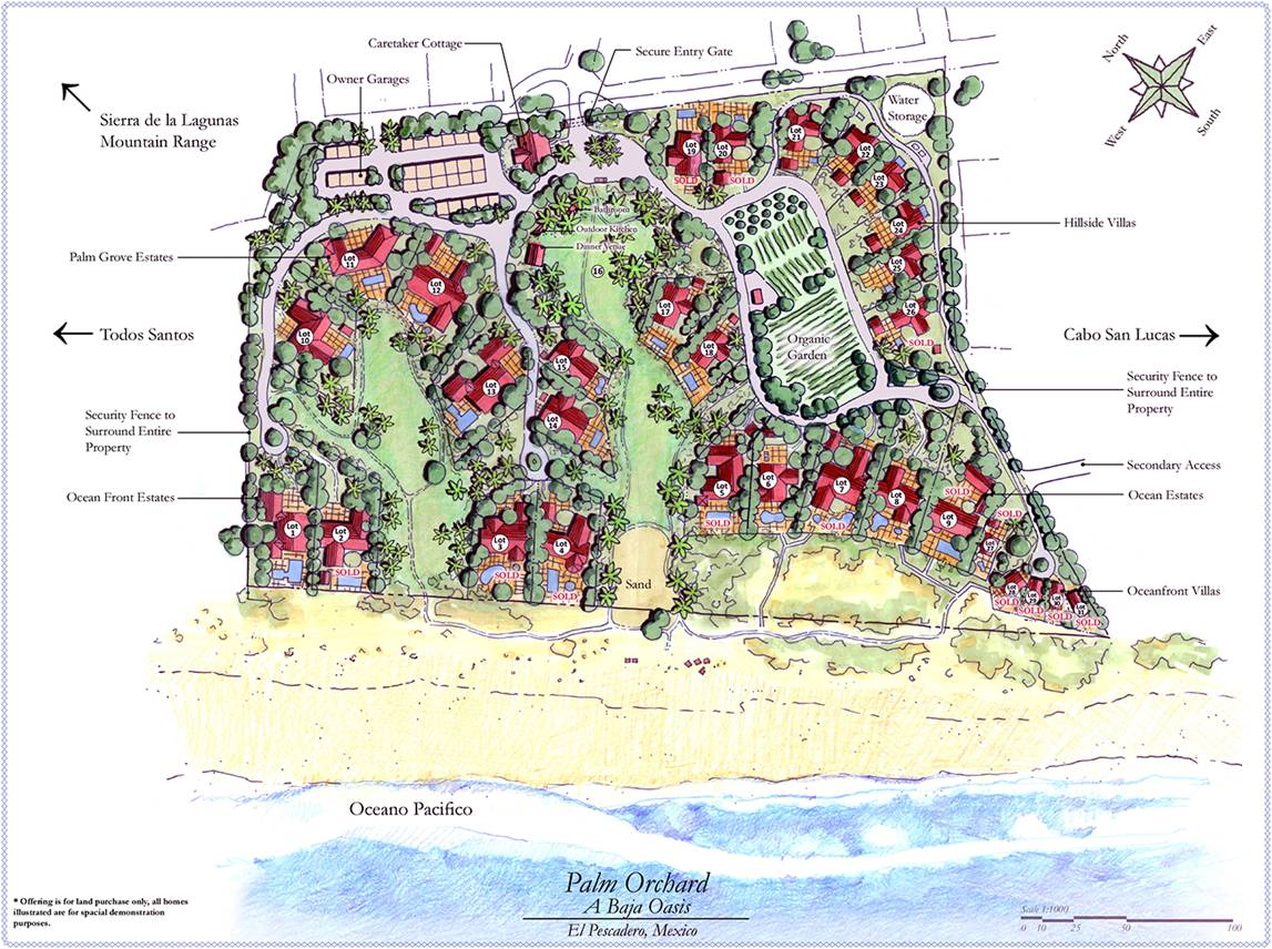 TheAgencyBaja's tweet photo. Palm Orchard Ocean Front 1 | Pescadero | Todos Santos | 997,224 USD | 21,463 Sq Ft
Listed by @DebWallendorf  @Alex Mitre
Stepping into the 20 acres Palm Orchard, one feels transported to a tropical paradise.
#paradise #beacfront #oceanfront #todossantos #development #luxuryhome https://t.co/l6bcpbgZl3
