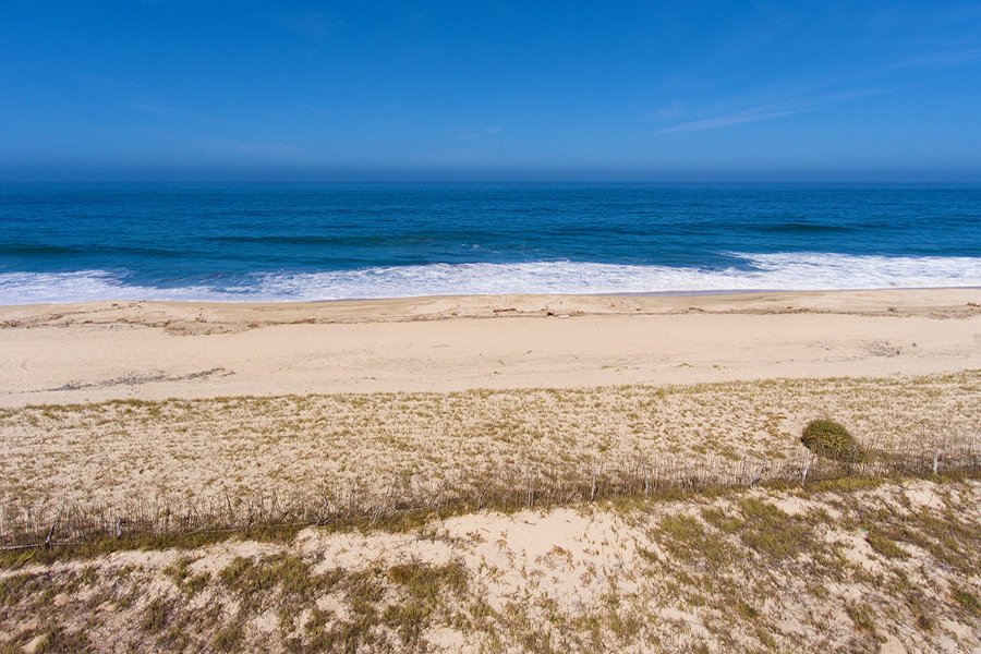 TheAgencyBaja's tweet photo. Palm Orchard Ocean Front 1 | Pescadero | Todos Santos | 997,224 USD | 21,463 Sq Ft
Listed by @DebWallendorf  @Alex Mitre
Stepping into the 20 acres Palm Orchard, one feels transported to a tropical paradise.
#paradise #beacfront #oceanfront #todossantos #development #luxuryhome https://t.co/l6bcpbgZl3