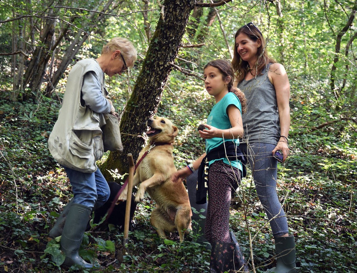 Wanda Srdoc, with her aunt Anita and daughter Sienna, #truffle hunting in their home region of Istia. With white truffle season upon us we’re excited to be partnering with Wanda for a special Cooking With Truffles class Oct 25. Details on our site!