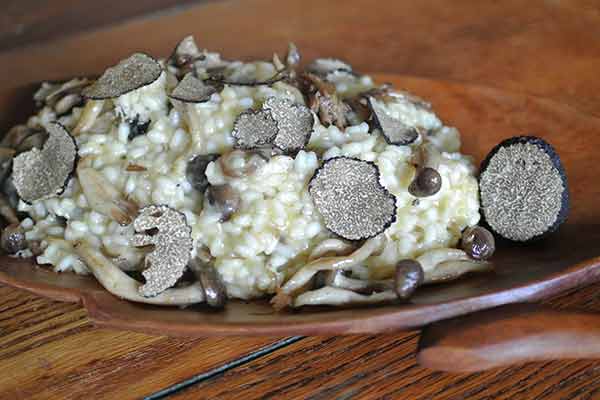 TasteofViva's tweet photo. Fall? I'll take fresh truffles over 'Pumpkin Spice'! - https://t.co/wR0EPDyTXN https://t.co/j4hhh96ufu
