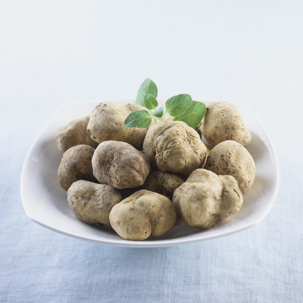 TasteofViva's tweet photo. Fall? I'll take fresh truffles over 'Pumpkin Spice'! - https://t.co/wR0EPDyTXN https://t.co/j4hhh96ufu