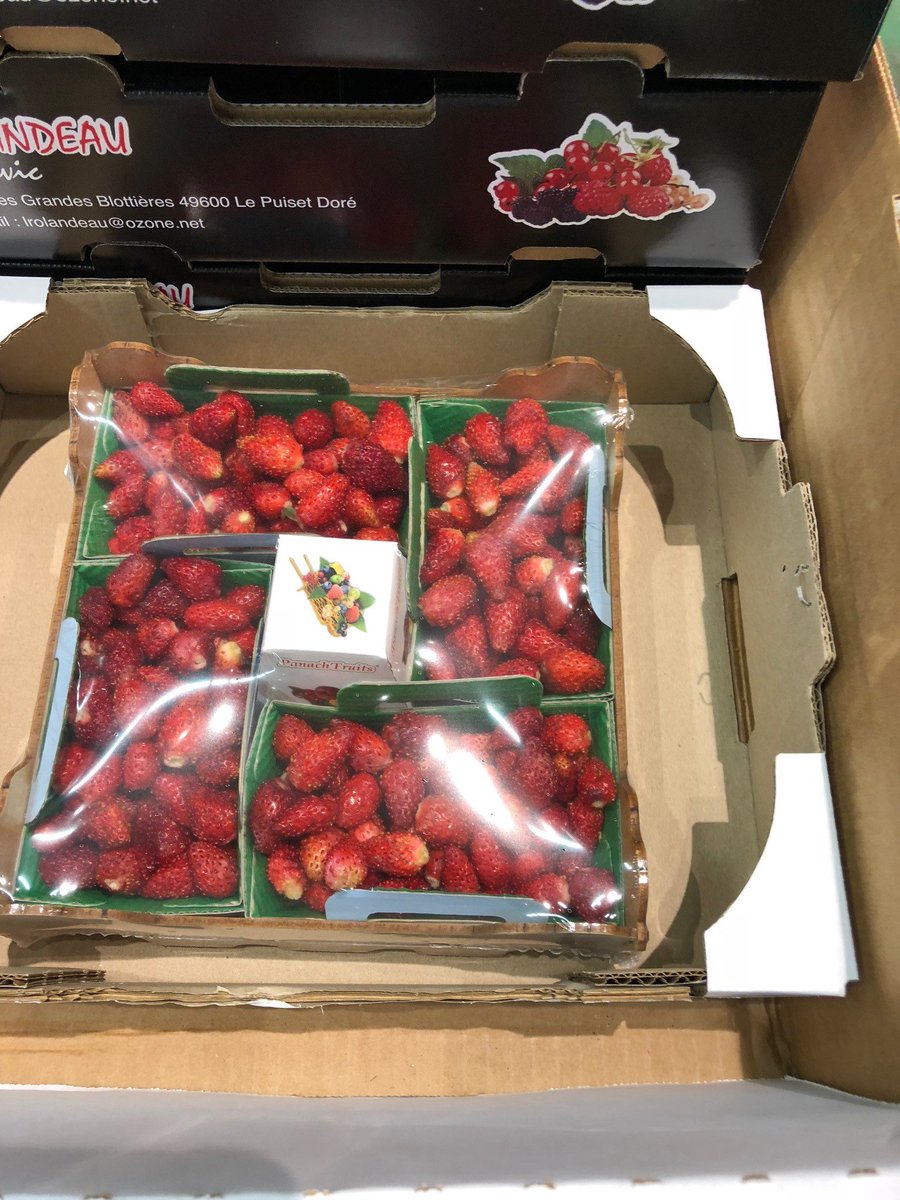 EdBowersBurbank's tweet photo. Still some good quality French Berries on Rungis.  #panach 
Fraise de bois, Panach mixed berry, Raspberry &amp; Redcurrant #rungis https://t.co/C7AH3oopsb