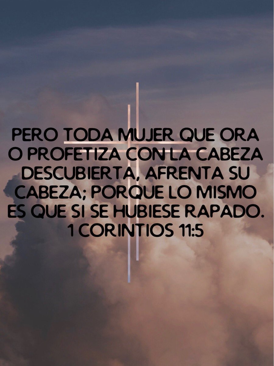 Luis Miranda (@luismir88527309) on Twitter photo 