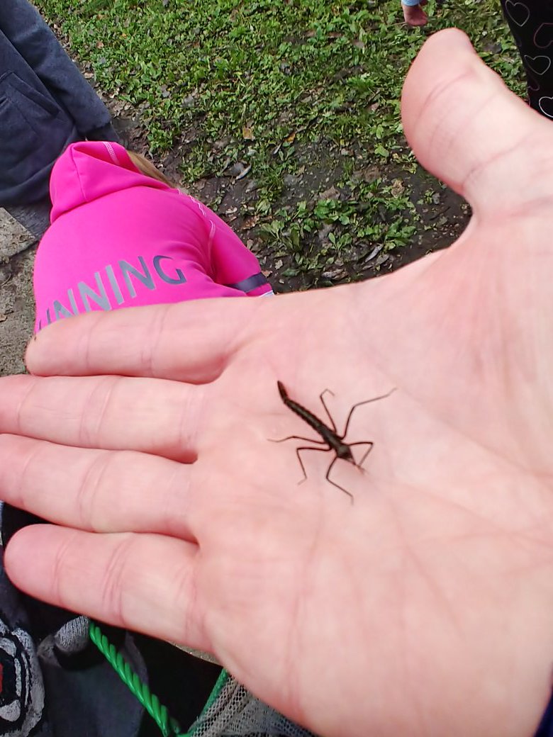 eduReknoy's tweet photo. 5th grade Ss at RVE started doing their research on macro invertebrates in the Vermillion river. They are trying to determine the river's health. @bergjaso @rvesnews @district192 @Soup192 https://t.co/xUZ637VtKp