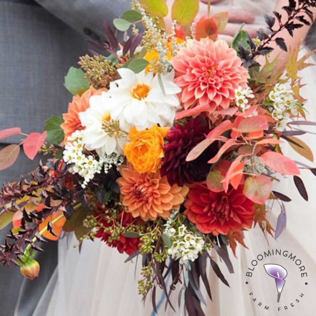 bloomingmore's tweet photo. Well it's #WeddingWednesday and I thought I needed to showcase this gorgeous Fall bridal bouquet!
.
.
#Dahlias #FallFlowers #Bloomingmore #FarmFresh #Flowers #Brides #DIY #Inspiration #Inspo #FallBrides #DIYBrides #FallWeddings #Weddings #DIYWeddings #BridalBouquets #Bouquets https://t.co/xlzDFVuqCK