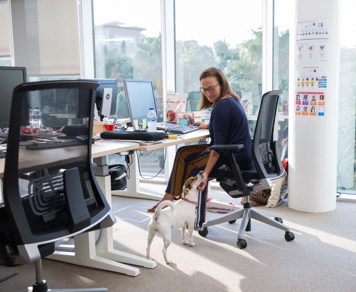 bemypartnercom's tweet photo. Ayer fue un día muy especial lleno de amigos de cuatro patas 🐕🐈 @Purina invitó a una treintena de empresas a unirse a su iniciativa #PetsAtWorkAlliance a la que ya pertenece #Bemypartner. ¡Ir al trabajo con tu fiel compañero está cada vez más cerca! https://t.co/TRF9NfLoo3