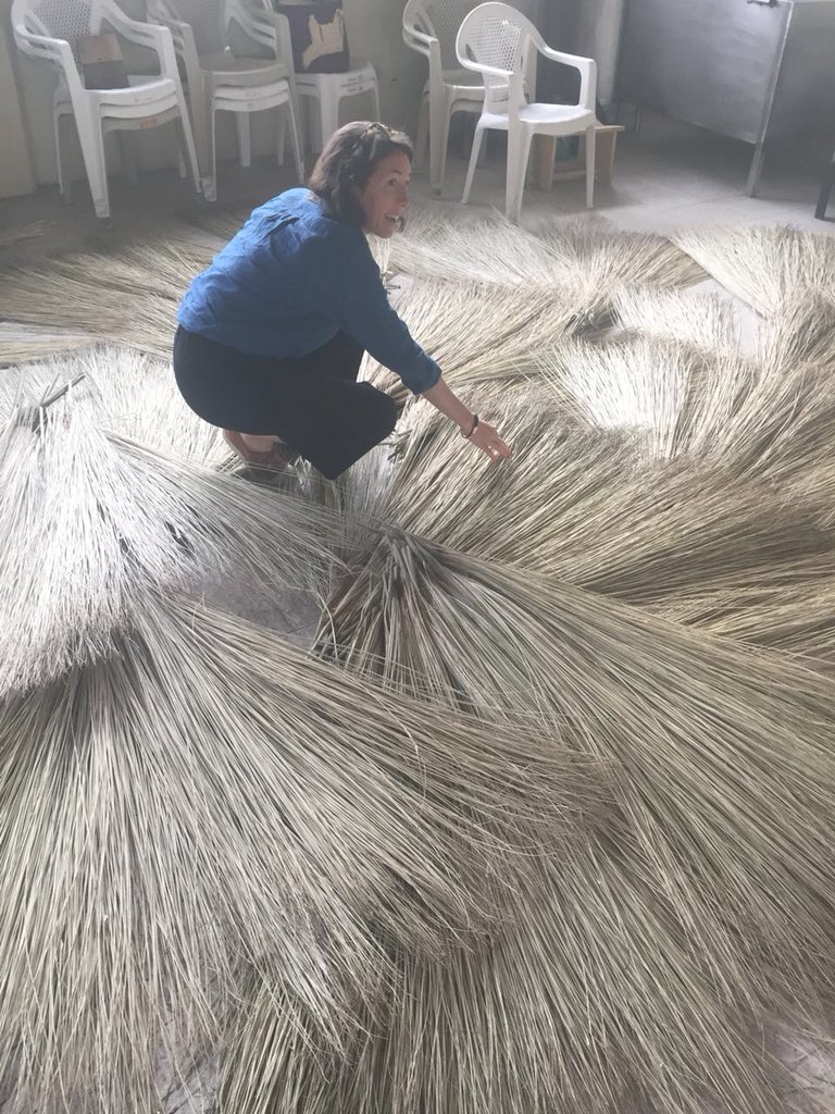 PROEC_CHICAGO's tweet photo. Throwback Thursday: In one of her many journeys through the world #AOWHandmade stopped in 🇪🇨 to bring new resources directly to designers and retailers.  #PajaToquillaHats #ShigraBags #Taguajewelry are some of the stops in this magical trip ▶️ https://t.co/eAbvfgBLud https://t.co/EQKARsotx6