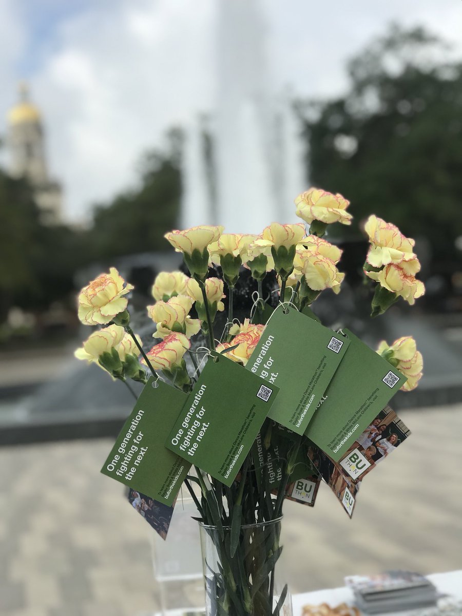September is Childhood Cancer Awareness Month. Thank you Baylor Flowers for your beautiful carnation donation