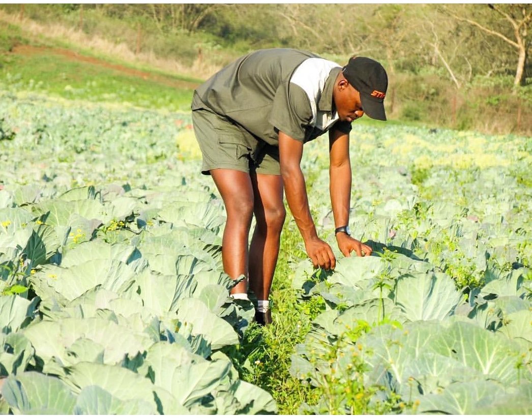AldrinSampear's tweet photo. Don't be fooled, uDarkie is into the Agri hustle.

Meet Andile Ngcobo ... 

WHAT A CHAMP!!! 🌱🌾🌿🌳 https://t.co/MpMo8NwdCE
