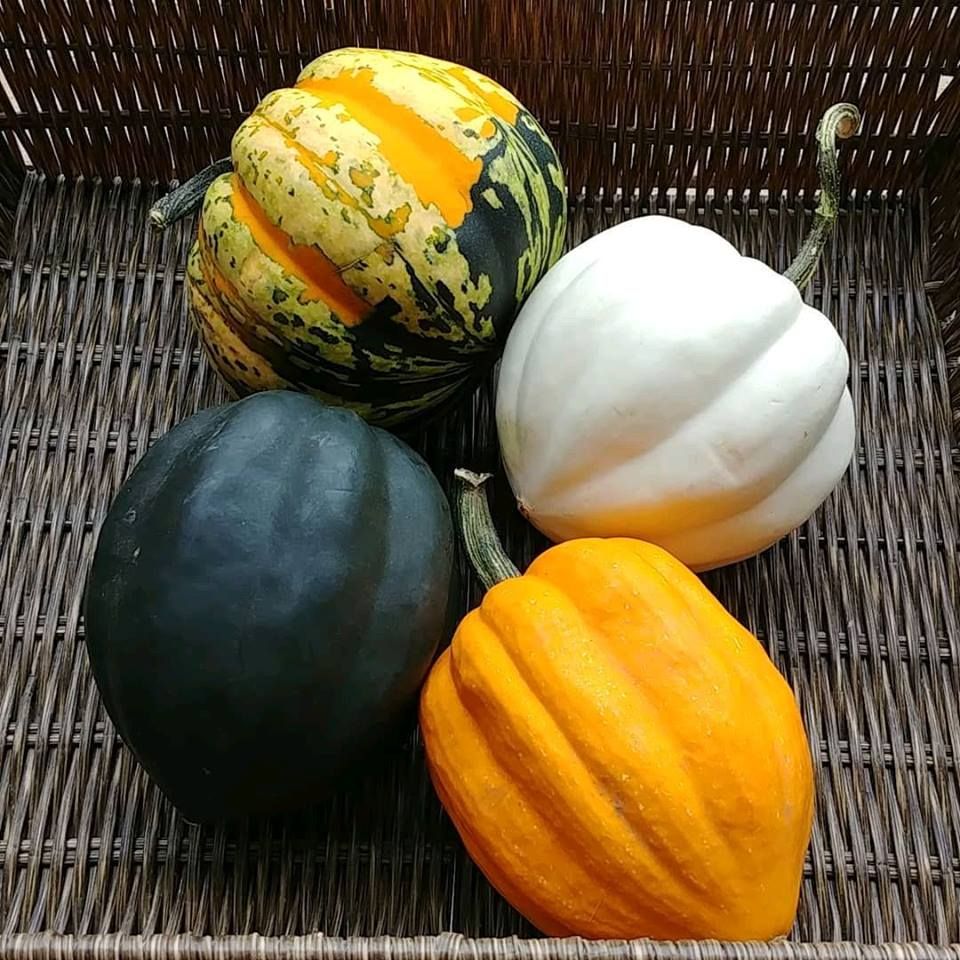 WithrowMarket's tweet photo. ๐ S A T U R D A Y ๐ Join us at our Autumn Makers' Market! Expect a mix of locally crafted items along side all of our fresh farmers' market favourites โ there is sure to be something for everyone!
Thanks @MeridianCU at Danforth & Logan for supporting #handmadeinToronto! https://t.co/D2m0q1Coyp